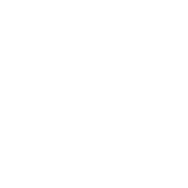 Theora828